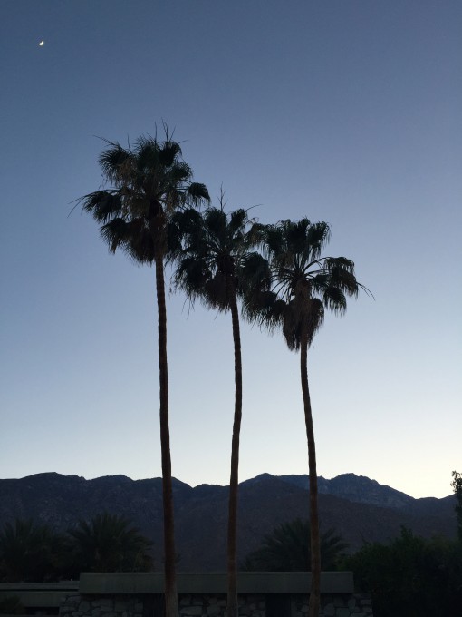 Sunset | Palm Springs | Covet Living
