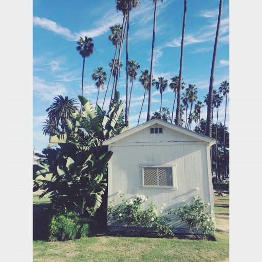 Santa Monica | Covet Living