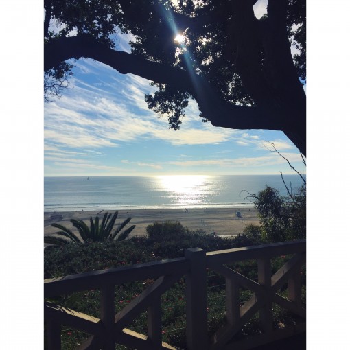 Santa Monica | Covet Living
