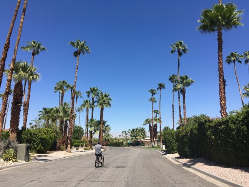 Bike ride thru Palm Springs | Scenes From a Weekend | Covet Living