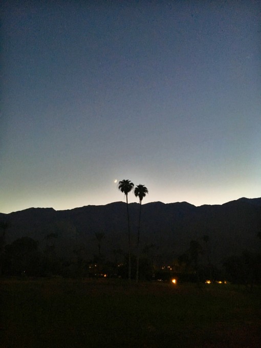Palm Springs | Covet Living