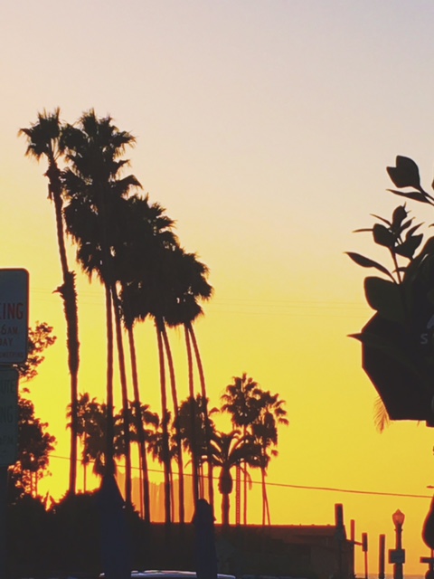 La Jolla Sunset | Covet Living
